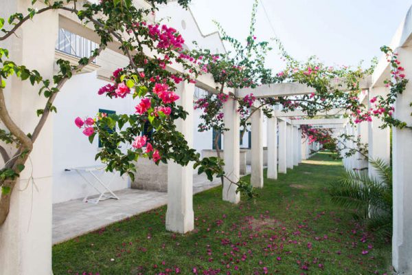 residence-blumare-village (12)