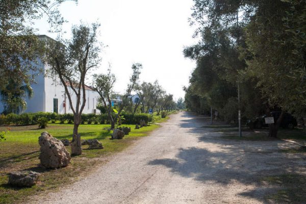 residence-blumare-village (7)